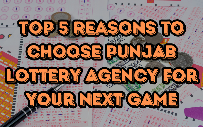 Top 5 Reasons to Choose Punjab Lottery Agency for Your Next Game